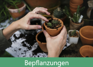 Bepflanzungen