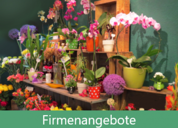 Firmenangebote