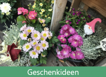 Geschenkideen